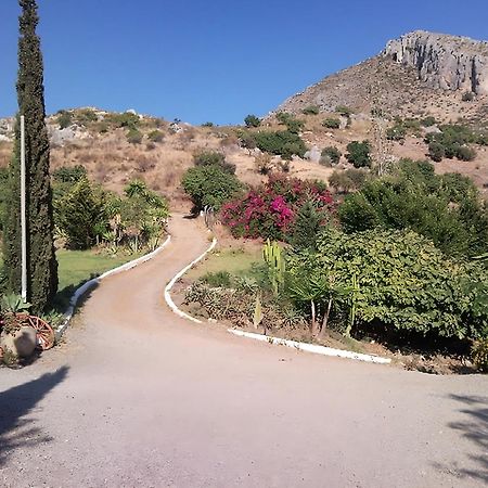 Finca Santa Matilde Malaga Ngoại thất bức ảnh