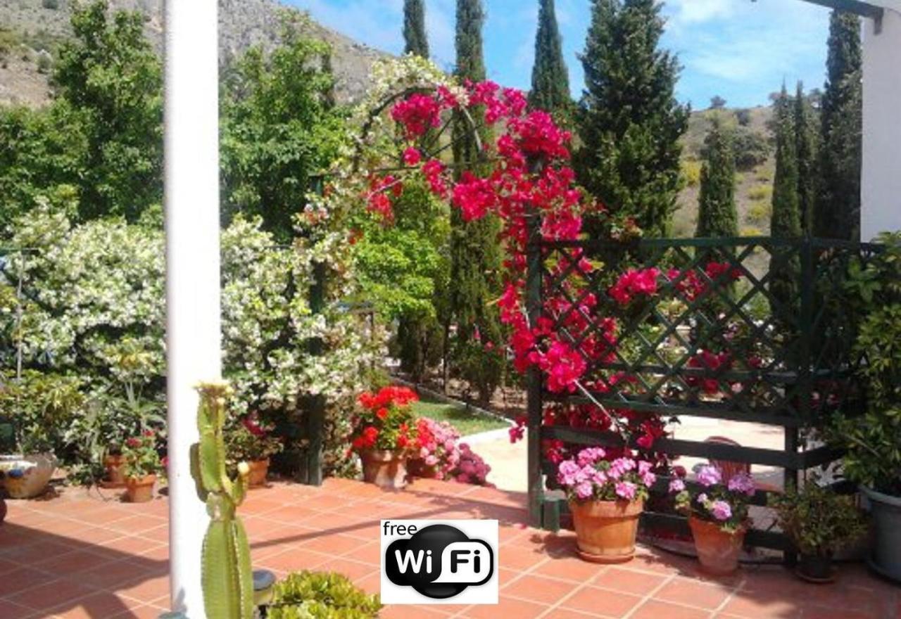 Finca Santa Matilde Malaga Ngoại thất bức ảnh