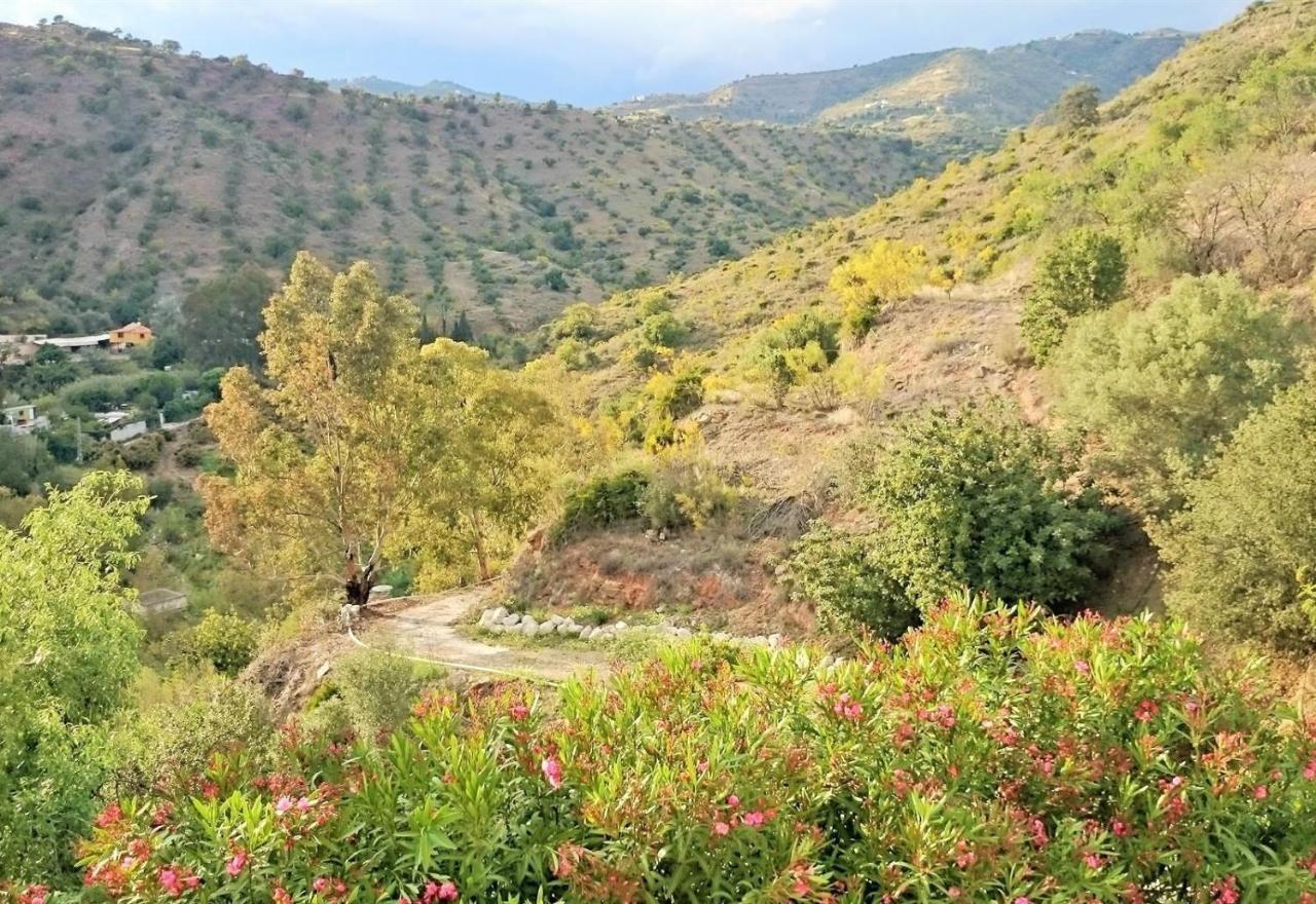 Finca Santa Matilde Malaga Ngoại thất bức ảnh