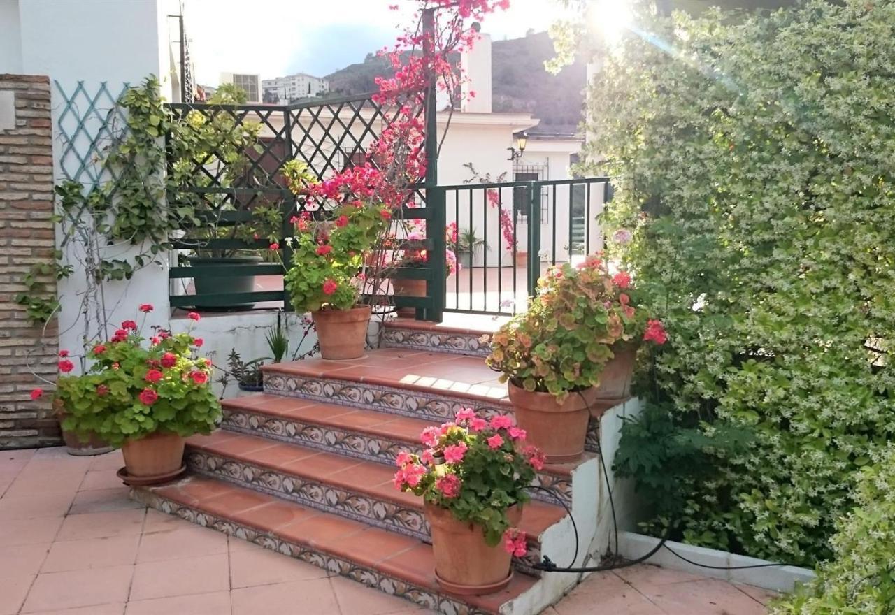 Finca Santa Matilde Malaga Ngoại thất bức ảnh