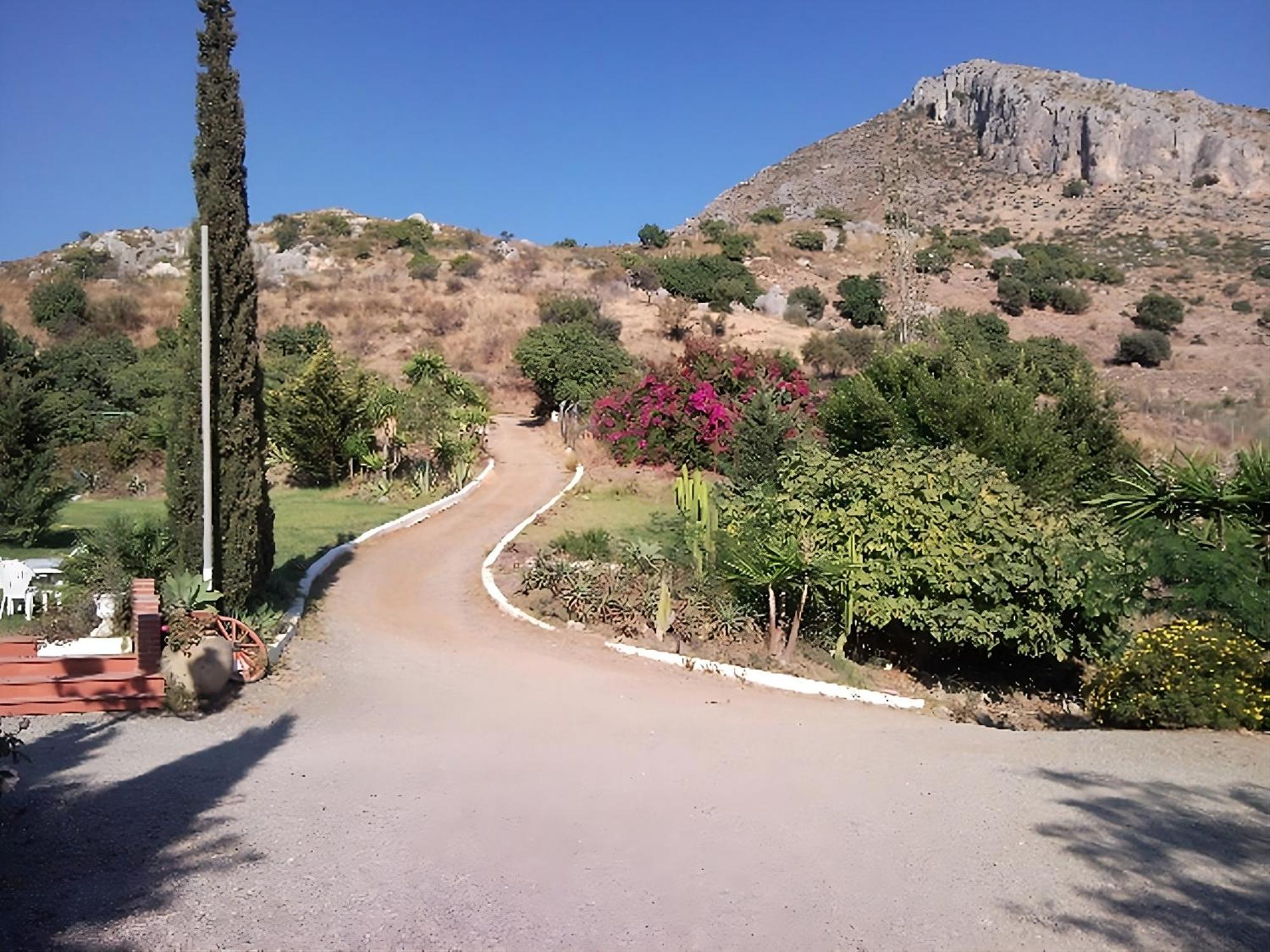 Finca Santa Matilde Malaga Ngoại thất bức ảnh